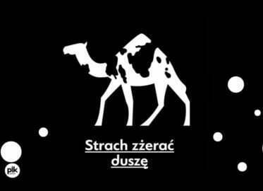 Strach zżerać duszę | spektakl