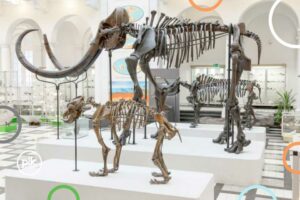 Noc Muzeów 2026 w Muzeum Geologicznym