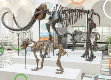 Noc Muzeów 2026 w Muzeum Geologicznym