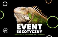ZooEgzotyka - Giełda terrarystyczno-akwarystyczna Warszawa