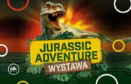 Jurassic Adventure | wystawa