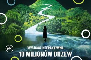 Noc Muzeów 2026 w Melt Museum