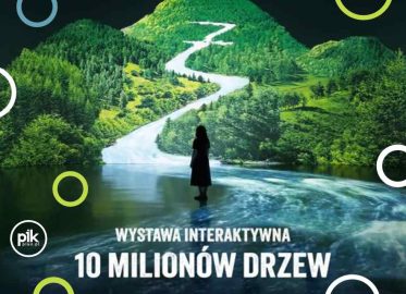 Noc Muzeów 2026 w Melt Museum