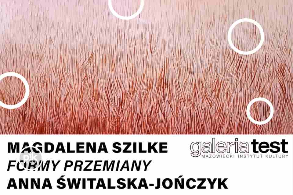 Noc Muzeów 2025 w Galerii Test