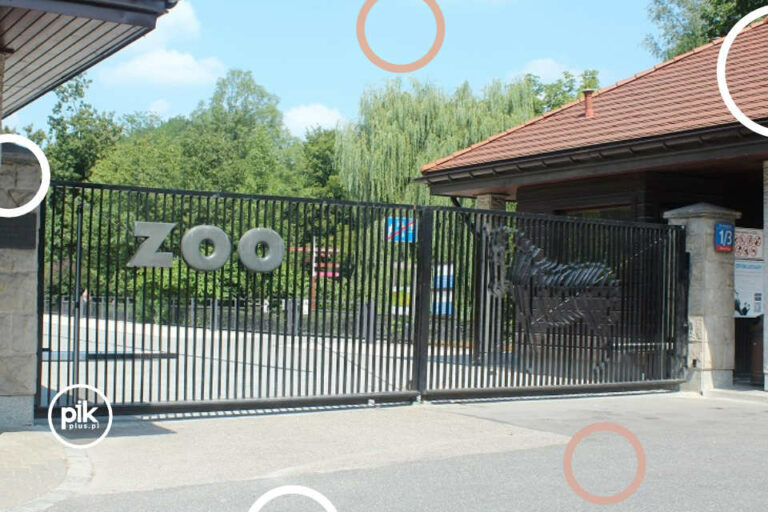 Halloween w Hard Rock Warszawa PIK.warszawa.pl