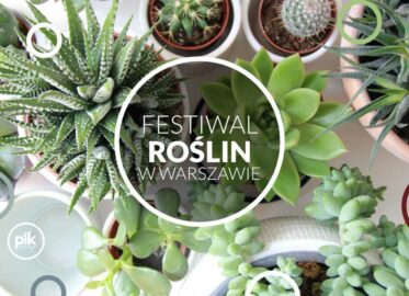 Festiwal Roślin w Warszawie 2025