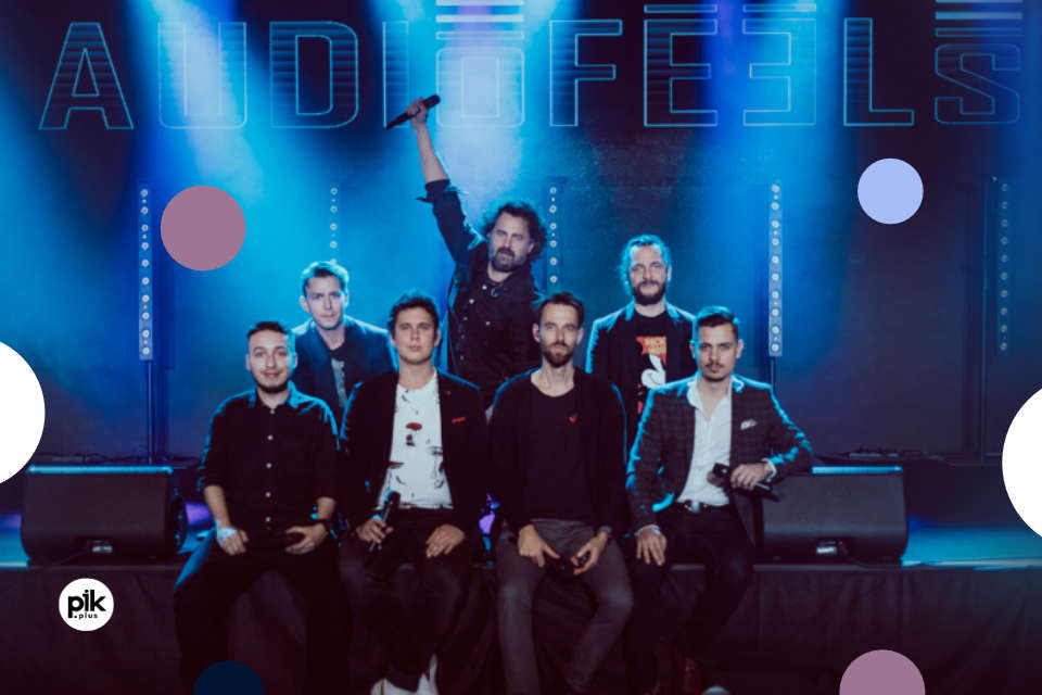 AudioFeels | koncert
