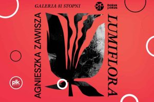 Noc Muzeów 2026 w Galerii 81 Stopni