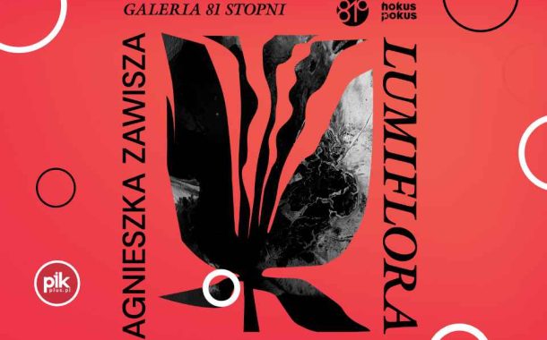 Noc Muzeów 2026 w Galerii 81 Stopni