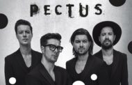 Pectus | koncert