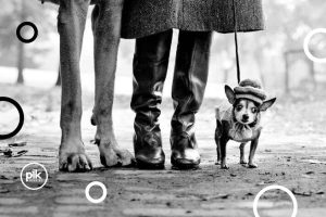 Noc Muzeów 2026 w Domu Spotkań z Historią