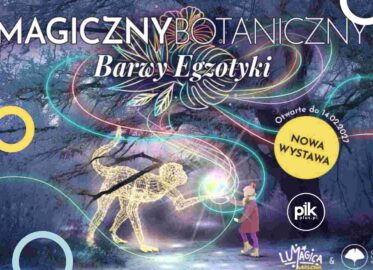 Magiczny Botaniczny - Barwy Egzotyki - Park Iluminacji w Ogrodzie Botanicznym Warszawa