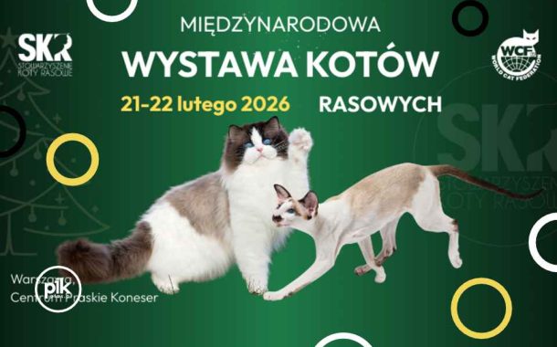 Międzynarodowa Wystawa Kotów Rasowych w Warszawie