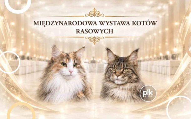 Międzynarodowa Wystawa Kotów Rasowych w Warszawie