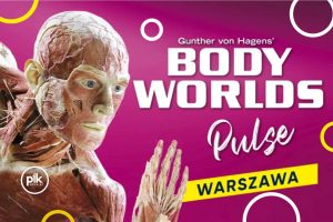 Body Worlds - Pulse | wystawa w Warszawie - Bilety