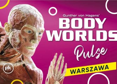 Body Worlds - Pulse | wystawa w Warszawie - Bilety